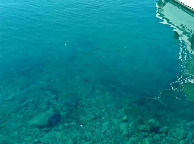 Daire Andromeda Sea View Makarska