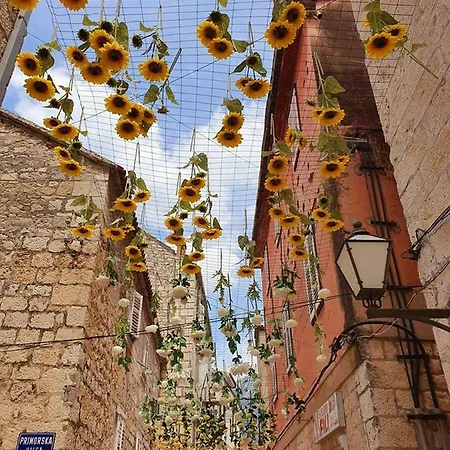 Andromeda Sea View דירה מאקרסקה